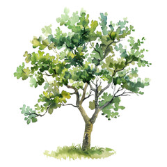Obraz premium A Vibrant and Striking Illustration of a Lush Green Tree, Capturing the Essence of Nature and Growth with Detailed Leaves and a Strong, Elegant Presence.