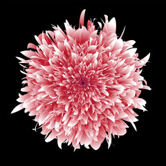 Blend floral flower background wallpaper design