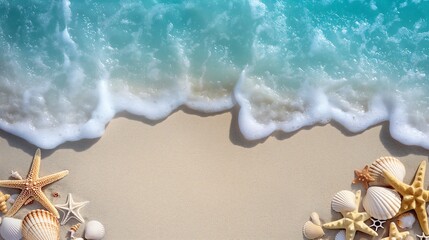 Close-up of seashells and starfish on the sandy beach. On a clean white sandy beach.