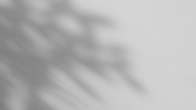 Wall interior background, studio and backdrops show products.with shadow from window color white and grey. background for text insertion and presentation product
