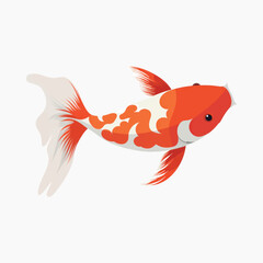 Colorful koi fish illustration