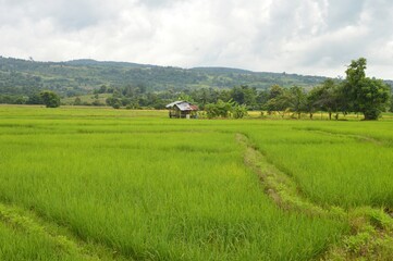 landscape with a house in mountains