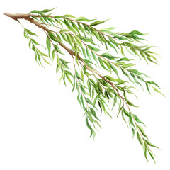Obraz premium A graceful leafy branch swaying gently in the breeze, showcasing vibrant green foliage that brings life and freshness to any design or artistic endeavor.