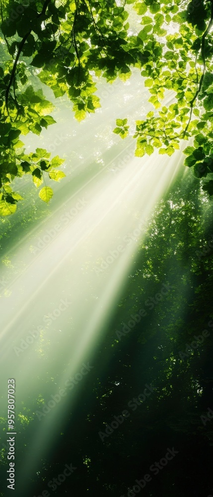 Poster serene sunlight filters through lush green leaves, creating a tranquil and refreshing atmosphere in 
