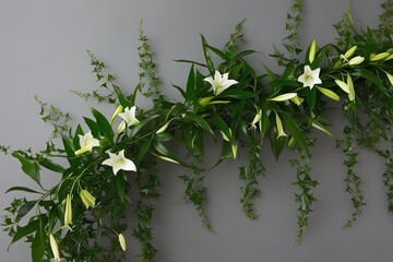 Obraz premium Aerial Perspective of Trailing Lily Creeper Tree with Lush Green Foliage for Vibrant Floral Arrangements
