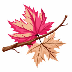 Colorful autumn leaves and branch arrangement on white background