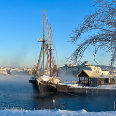 boats in the harbor
