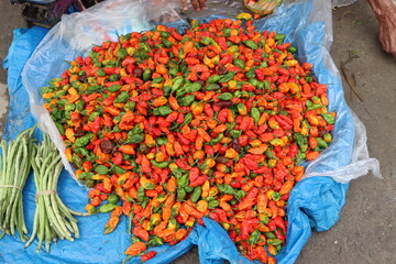 Bhut jolokia or ghost pepper chilli at local market