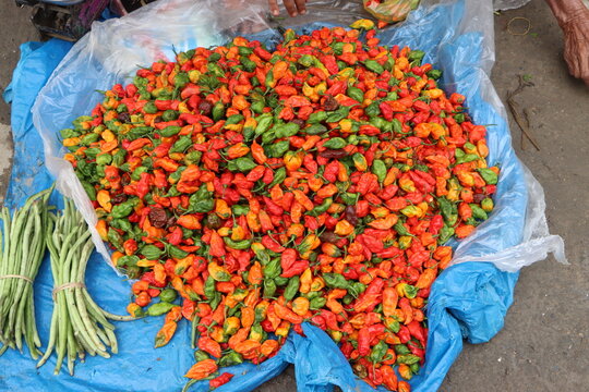Bhut jolokia or ghost pepper chilli at local market