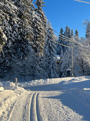 ski resort in winter