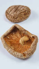 干し椎茸・乾しシイタケ