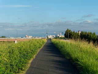 真夏の大和川リバーサイドサイクルライン