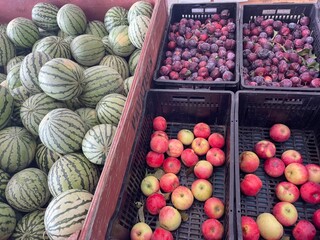 fruits and vegetables