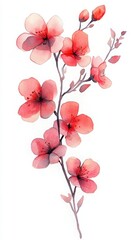 Fototapeta premium Beautiful watercolor delicate pink flowers branch, perfect spring-themed designs decorations.