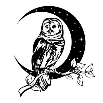 recommend clip art: Owl Moon | Nature Scene | Wildlife | Owl | Half-moon | Night Owl | Night Bird | Dreamcatcher Owl | Original Illustration | Vector and Clipart | Cutfile and Stencil
