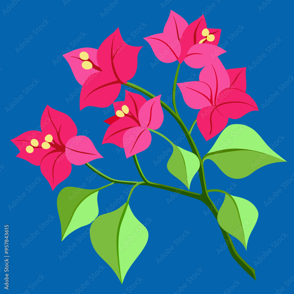 Canvas Prints high quality of a bougainvillea flowers vector illustration