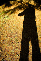 A solitary figure casts a long, dark shadow on a field of dry grass. The shadow is distorted by the...