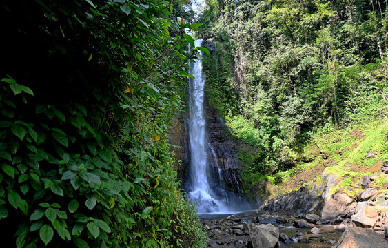 Gitgit waterfall and surroundings, in Buleleng regency of Bali - Indonesia