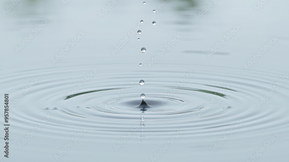 Poster Water Droplet Creating Ripples in Still Water