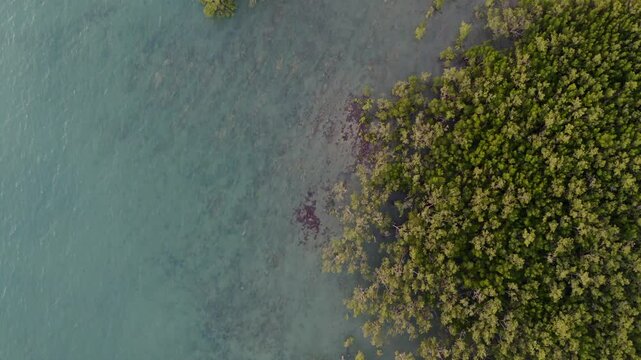 Aerial view of Nightcliff foreshore with calm ocean waters and a stretch of sandy beach, drone top down overview