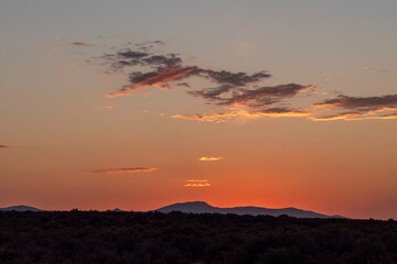 Orange pink sunset over dark horizon in summer during wildfires affected by smoke