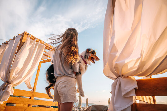 beautiful girl and smart cheerful funny tricolor dog Australian Shepherd on the surf beach relaxing hugging playing having fun and fooling around the dog shows tricks