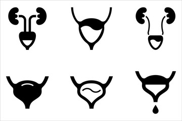 Urinary Bladder Icon. Line Vector Illustration of Bladder Filled with Urine on white background