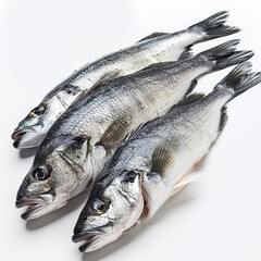 Obraz premium fresh fish