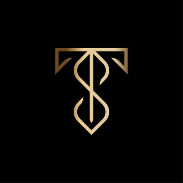 Minimalist Luxury Initials TS Logo Vector Illustration
