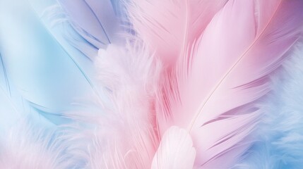 Obraz premium Closeup view of beautiful pastel-colored feathers in soft pink, baby blue, and white colors 