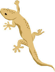 Cartoon gecko illustration
