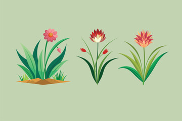 Naklejka premium Best grass flower Illustrations vector 2.eps