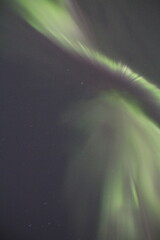 Dance Of The Aurora