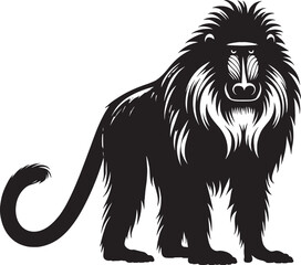 Mandrill Monkey animal Silhouette isolated on white background Minimalist monkey vector illustration