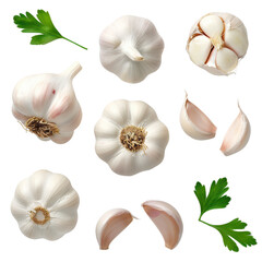 Fototapeta premium Fresh garlic cloves and parsley isolated transparent background