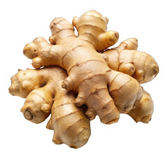 Fresh ginger isolated on transparent background