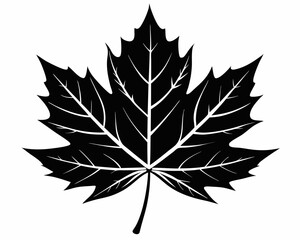  black silhouette  maple leaf ico vector illustration,maple leaf  vector illustration,