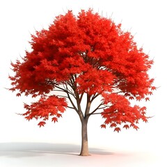 A vibrant 3D illustration of a red maple tree with rich. autumnal foliage. isolated on a white background.