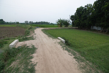 Obraz premium country road in the countryside