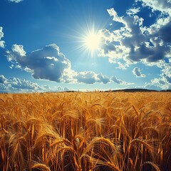 A golden wheat field under a bright sun, with vibrant blue skies and fluffy clouds creating a tranquil rural landscape.