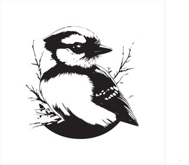 lack  Blue jay Silhouette Vector on Whit Background
