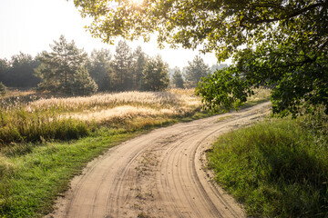 A dirt road with a tree in the background