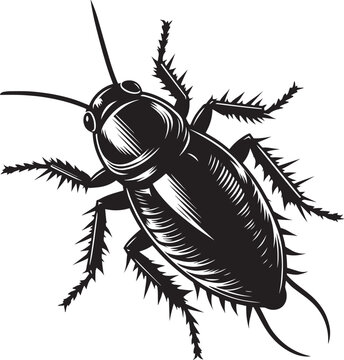 black cockroach insect detailed view clip art preview
