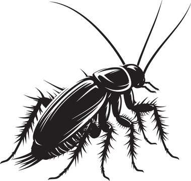 black cockroach insect isolated clip art preview
