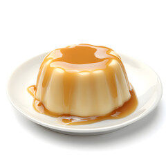 Delicious pudding vanilla dessert isolated on white background