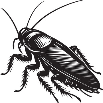 Cockroach clip art preview
