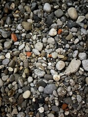 Texture of wet stone in evening contrasting light. Photo of the Moraca River, Montenegro. High quality photo