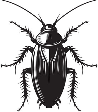 black cockroach insect detailed view clip art preview