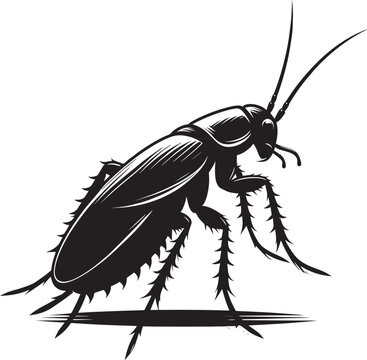 black cockroach insect isolated clip art preview