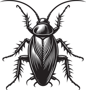 black cockroach insect detailed view clip art preview